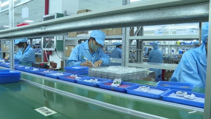 賓陽縣 規上企業工業運行向好 電子產品產業助力縣域經濟揚帆“遠航”